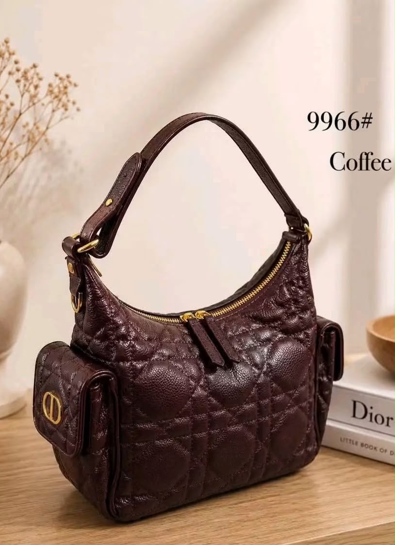 Dior Ladies Bag