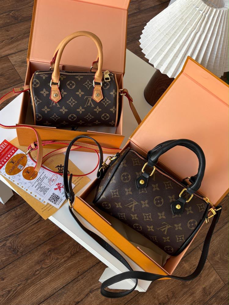 LV ladies bag